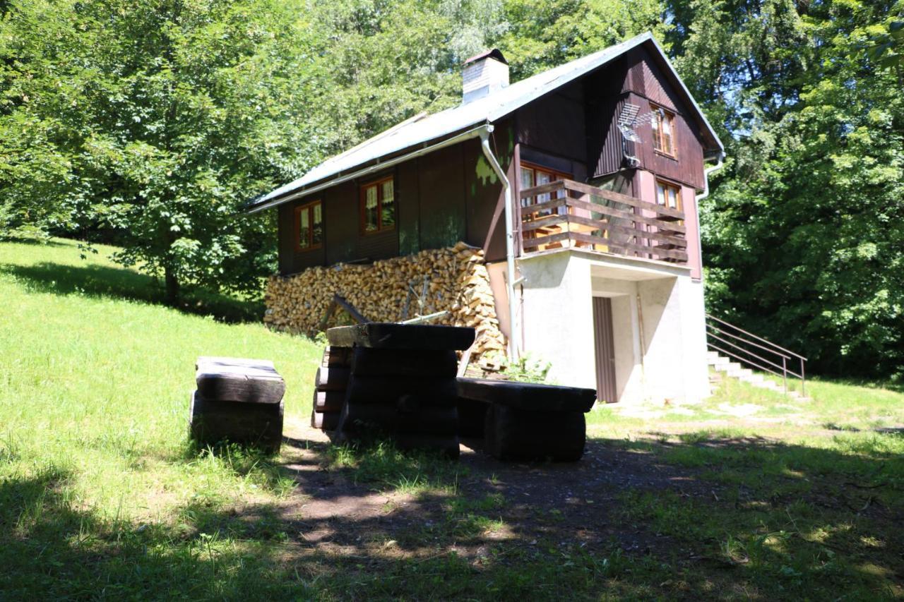 Chata Babeta Hradecek U Trutnova Hertvíkovice Exterior photo